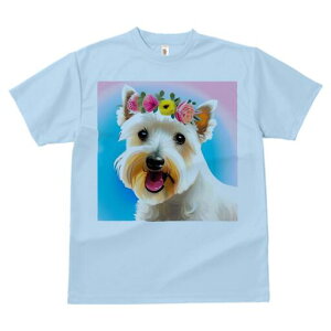 EGXgnChzCgeA TVc  j[NfUCfB[X t@  t vg lJWA 킢 lԗp Mtg I ҏ΍ ԗ EGXgnC