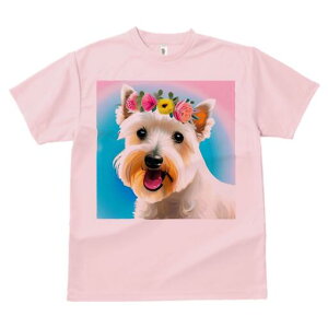 EGXgnChzCgeA TVc  j[NfUCfB[X t@  t vg lJWA 킢 lԗp Mtg I ҏ΍ ԗ EGXgnC