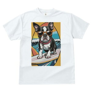 {XgeA TVc  j[NfUCfB[X t@  t vg lJWA 킢 lԗp Mtg I ҏ΍ T[tB {XgeA g TOX