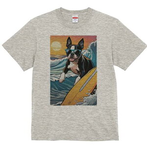 {XgeA TVc  j[NfUCfB[X t@  t vg lJWA 킢 lԗp Mtg I ҏ΍ T[tB {XgeA C g z