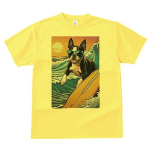 {XgeA TVc  j[NfUCfB[X t@  t vg lJWA 킢 lԗp Mtg I ҏ΍ T[tB {XgeA C g z