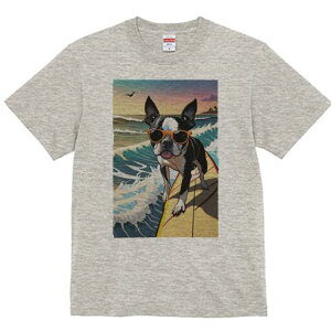 {XgeA TVc  j[NfUCfB[X t@  t vg lJWA 킢 lԗp Mtg I ҏ΍ TOX {XgeA T[tB C 