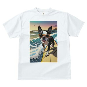 {XgeA TVc  j[NfUCfB[X t@  t vg lJWA 킢 lԗp Mtg I ҏ΍ TOX {XgeA T[tB C 