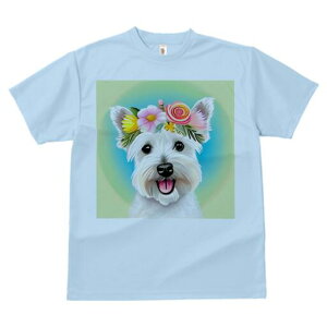 EGXgnChzCgeA TVc  j[NfUCfB[X t@  t vg lJWA 킢 lԗp Mtg I ҏ΍  EGXgnCh