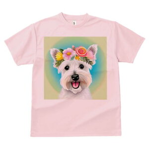 EGXgnChzCgeA TVc  j[NfUCfB[X t@  t vg lJWA 킢 lԗp Mtg I ҏ΍  EGXgnCh