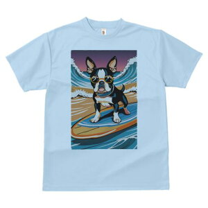 {XgeA TVc  j[NfUCfB[X t@  t vg lJWA 킢 lԗp Mtg I ҏ΍ T[tB {XgeA C g r[`