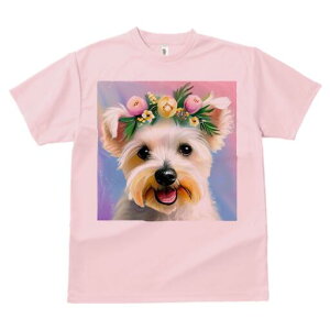 }`[Y TVc  j[NfUCfB[X t@  t vg lJWA 킢 lԗp Mtg I ҏ΍  }`[Y ԗ