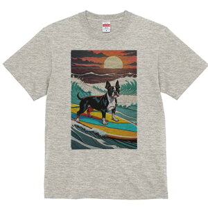 {XgeA TVc  j[NfUCfB[X t@  t vg lJWA 킢 lԗp Mtg I ҏ΍ g {XgeA C [ T[tB