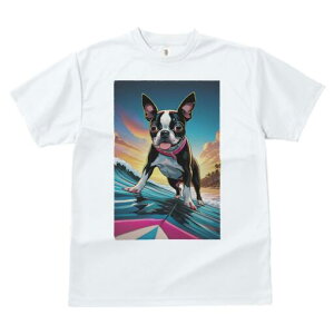 {XgeA TVc  j[NfUCfB[X t@  t vg lJWA 킢 lԗp Mtg I ҏ΍ T[tB {XgeA C g r[`