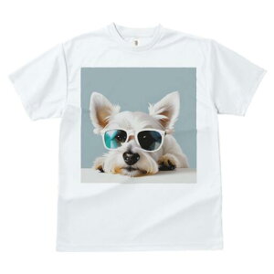 EGXgnChzCgeA TVc  j[NfUCY LbY t@  t vg lJWA 킢 lԗp Mtg I ҏ΍ TOX EGX