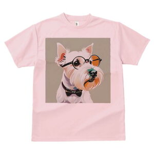 EGXgnChzCgeA TVc  j[NfUCY LbY t@  t vg lJWA 킢 lԗp Mtg I ҏ΍ Kl EGXgn