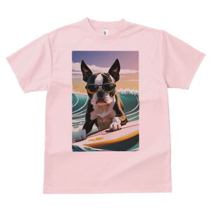 {XgeA TVc  j[NfUCfB[X t@  t vg lJWA 킢 lԗp Mtg I ҏ΍ TOX {XgeA T[tB g 