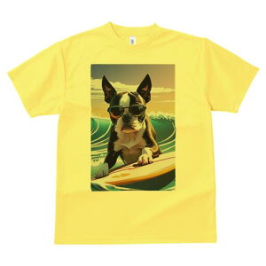 {XgeA TVc  j[NfUCfB[X t@  t vg lJWA 킢 lԗp Mtg I ҏ΍ TOX {XgeA T[tB g 