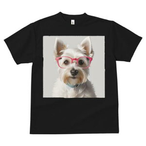 EGXgnChzCgeA TVc  j[NfUCfB[X t@  t vg lJWA 킢 lԗp Mtg I ҏ΍ Kl EGXgnC