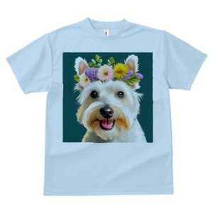 EGXgnChzCgeA TVc  j[NfUCY LbY t@  t vg lJWA 킢 lԗp Mtg I ҏ΍ Ԋ EGXgnC