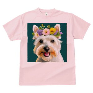 EGXgnChzCgeA TVc  j[NfUCfB[X t@  t vg lJWA 킢 lԗp Mtg I ҏ΍ Ԋ EGXgnC