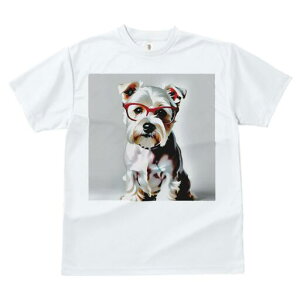 [NV[eA TVc  j[NfUCfB[X t@  t vg lJWA 킢 lԗp Mtg I ҏ΍ Kl [NV[eA