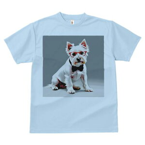 EGXgnChzCgeA TVc  j[NfUCfB[X t@  t vg lJWA 킢 lԗp Mtg I ҏ΍ Kl EGXgnC