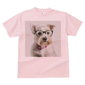 EGXgnChzCgeA TVc  j[NfUCfB[X t@  t vg lJWA 킢 lԗp Mtg I ҏ΍ Kl EGXgnC