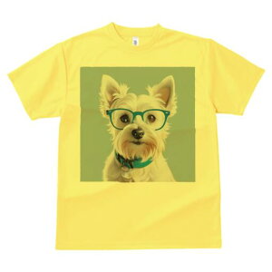 EGXgnChzCgeA TVc  j[NfUCfB[X t@  t vg lJWA 킢 lԗp Mtg I ҏ΍ Kl EGXgnC