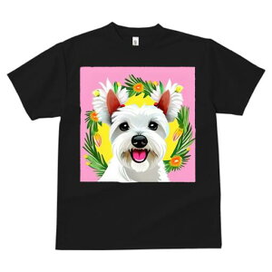 EGXgnChzCgeA TVc  j[NfUCfB[X t@  t vg lJWA 킢 lԗp Mtg I ҏ΍  EGXgnCh