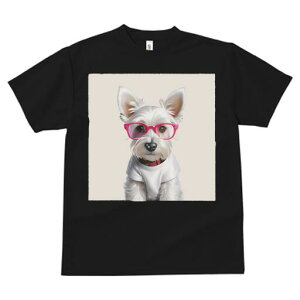 EGXgnChzCgeA TVc  j[NfUCfB[X t@  t vg lJWA 킢 lԗp Mtg I ҏ΍ Kl EGXgnC