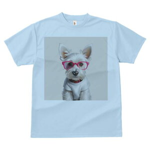 EGXgnChzCgeA TVc  j[NfUCfB[X t@  t vg lJWA 킢 lԗp Mtg I ҏ΍ Kl EGXgnC