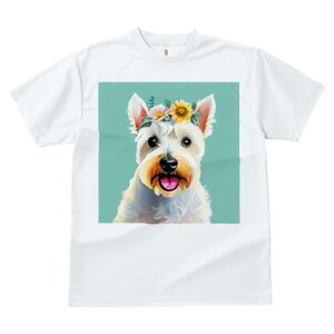 EGXgnChzCgeA TVc  j[NfUCfB[X t@  t vg lJWA 킢 lԗp Mtg I ҏ΍  EGXgnCh