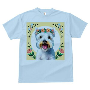 EGXgnChzCgeA TVc  j[NfUCfB[X t@  t vg lJWA 킢 lԗp Mtg I ҏ΍  EGXgnCh