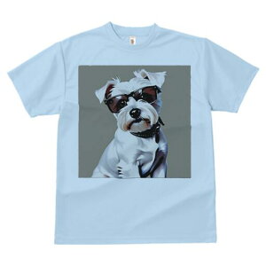 ~j`AViEU[ TVc  j[NfUCfB[X t@  t vg lJWA 킢 lԗp Mtg I ҏ΍ TOX ~j`AViEU