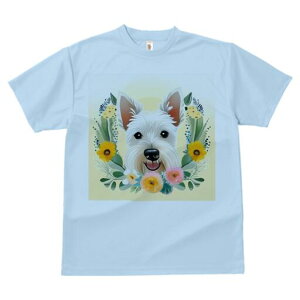 EGXgnChzCgeA TVc  j[NfUCfB[X t@  t vg lJWA 킢 lԗp Mtg I ҏ΍  EGXgnCh