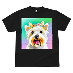 EGXgnChzCgeA TVc  j[NfUCY LbY t@  t vg lJWA 킢 lԗp Mtg I ҏ΍ Ԋ EGXgnC