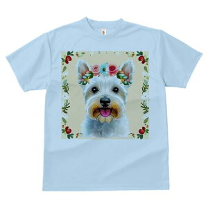 EGXgnChzCgeA TVc  j[NfUCY LbY t@  t vg lJWA 킢 lԗp Mtg I ҏ΍  EGXgnC