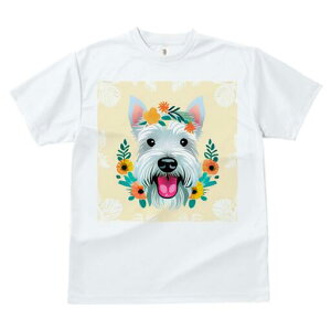 EGXgnChzCgeA TVc  j[NfUCfB[X t@  t vg lJWA 킢 lԗp Mtg I ҏ΍  EGXgnCh