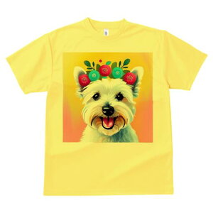 EGXgnChzCgeA TVc  j[NfUCfB[X t@  t vg lJWA 킢 lԗp Mtg I ҏ΍ ԗ EGXgnC