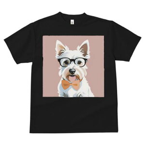 EGXgnChzCgeA TVc  j[NfUCY LbY t@  t vg lJWA 킢 lԗp Mtg I ҏ΍ Kl EGXgn