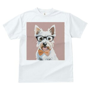 EGXgnChzCgeA TVc  j[NfUCY LbY t@  t vg lJWA 킢 lԗp Mtg I ҏ΍ Kl EGXgn