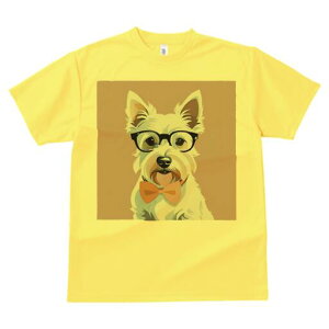 EGXgnChzCgeA TVc  j[NfUCfB[X t@  t vg lJWA 킢 lԗp Mtg I ҏ΍ Kl EGXgnC