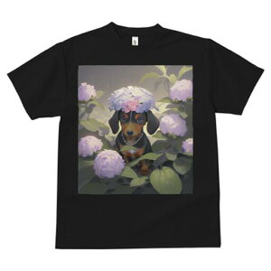 _bNXth TVc  j[NfUCfB[X t@  t vg lJWA 킢 lԗp Mtg I ҏ΍  _bNXth AWTC