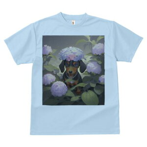 _bNXth TVc  j[NfUCY LbY t@  t vg lJWA 킢 lԗp Mtg I ҏ΍  _bNXth AWTC