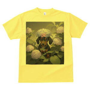 _bNXth TVc  j[NfUCY LbY t@  t vg lJWA 킢 lԗp Mtg I ҏ΍  _bNXth AWTC