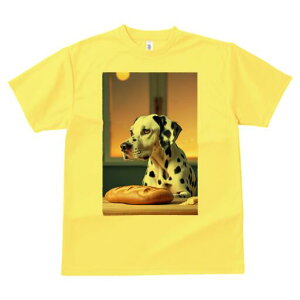 _VA TVc  j[NfUCfB[X t@  t vg lJWA 킢 lԗp Mtg I ҏ΍ p _VA `[Y [Ă