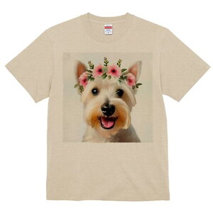 EGXgnChzCgeA TVc  j[NfUCfB[X t@  t vg lJWA 킢 lԗp Mtg I ҏ΍ Ԋ EGXgnC