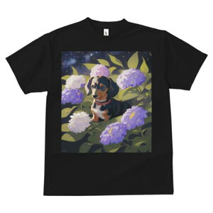 _bNXth TVc  j[NfUCfB[X t@  t vg lJWA 킢 lԗp Mtg I ҏ΍ AWTC _bNXth 