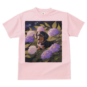 _bNXth TVc  j[NfUCfB[X t@  t vg lJWA 킢 lԗp Mtg I ҏ΍ AWTC _bNXth 