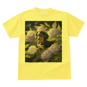 _bNXth TVc  j[NfUCfB[X t@  t vg lJWA 킢 lԗp Mtg I ҏ΍ AWTC _bNXth 