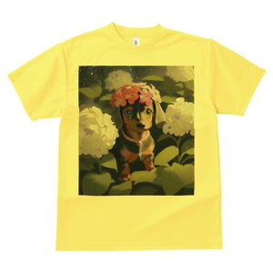 _bNXth TVc  j[NfUCY LbY t@  t vg lJWA 킢 lԗp Mtg I ҏ΍  _bNXth ԏ AWTC