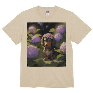 _bNXth TVc  j[NfUCY LbY t@  t vg lJWA 킢 lԗp Mtg I ҏ΍ AWTC _bNXth  