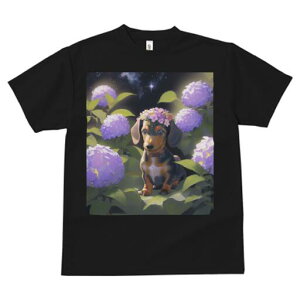 _bNXth TVc  j[NfUCfB[X t@  t vg lJWA 킢 lԗp Mtg I ҏ΍ AWTC _bNXth  