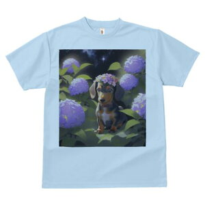 _bNXth TVc  j[NfUCY LbY t@  t vg lJWA 킢 lԗp Mtg I ҏ΍ AWTC _bNXth  